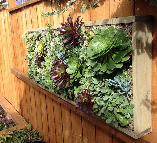Diy Pallet Succulent Planter