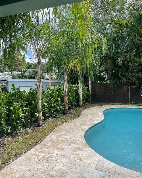 Clusia Landscaping Dense Clusias for Privacy Ideas 15