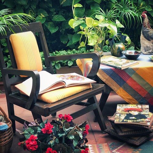 Beautiful Houseplants for Interior 17