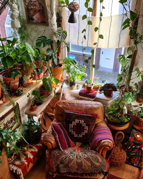 Colorful Interior Ideas with Beautiful Houseplants 22