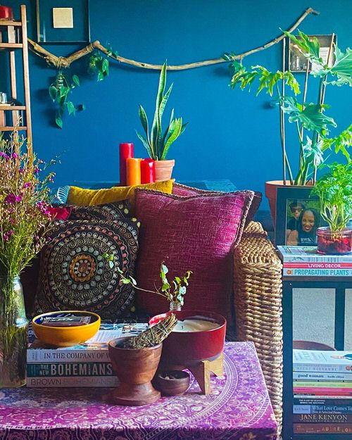 Beautiful Houseplants for Interior 19