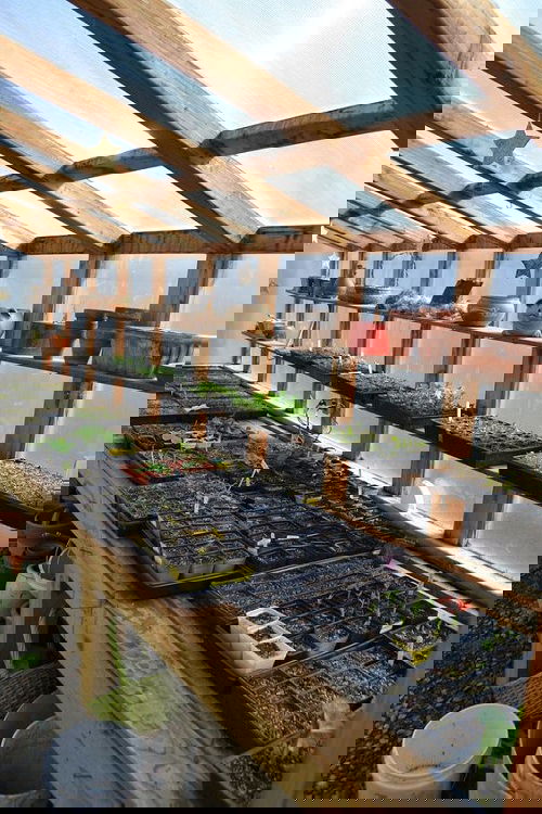Transparent Greenhouse