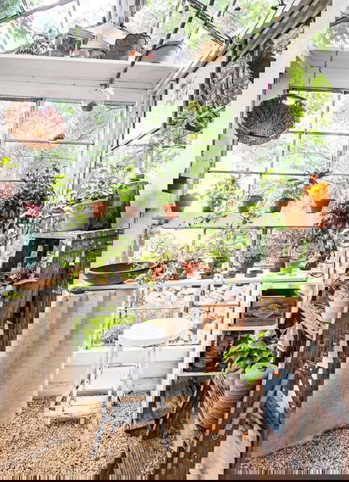 Greenhouse Shelving Ideas Ladder and Shelves