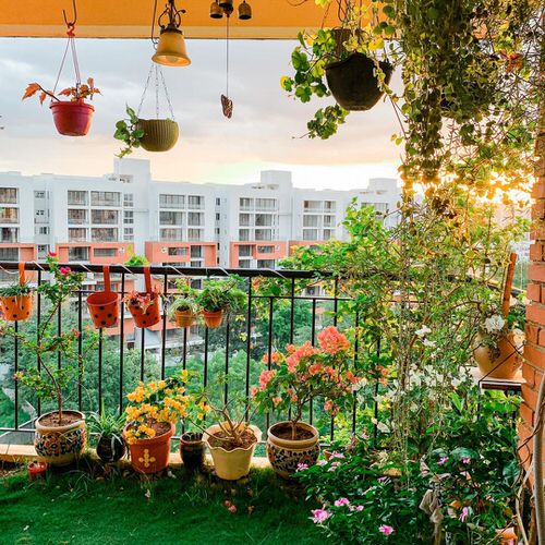 Colorful Interior Ideas with Beautiful Houseplants 28