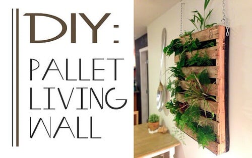 Diy Pallet Living Wall