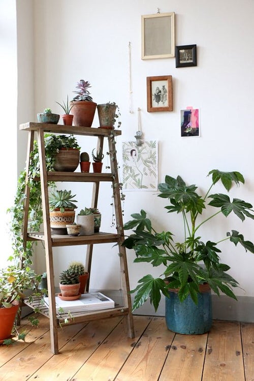 Diy Ladder Planter Holder