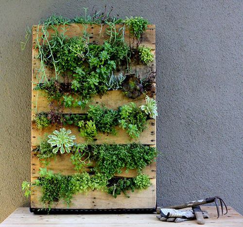 Diy Recycled Pallet Vertical Garden