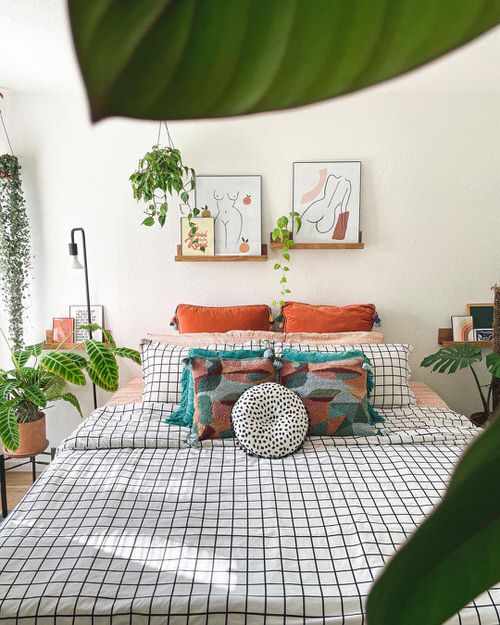 Beautiful Houseplants for Interior 6
