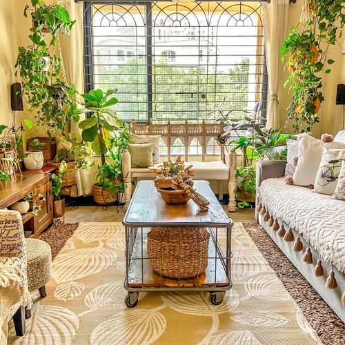 Beautiful Houseplants for Interior 11