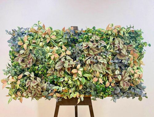 Colorful Interior Ideas with Beautiful Houseplants 21