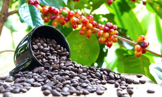Benefits Of Coffee