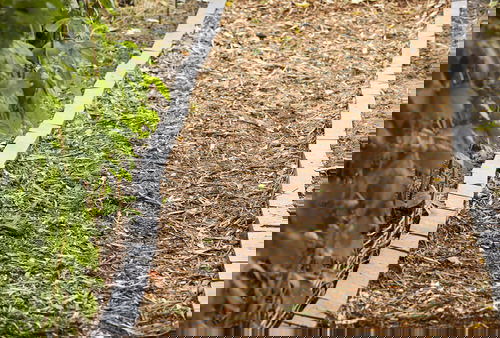  DIY Garden Path Ideas With Tutorials #29