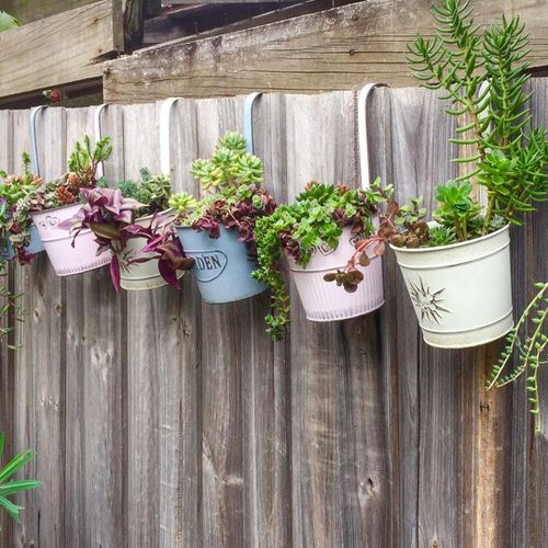 Fence Planters for privacy 38