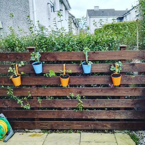 Fence Planters for privacy 44