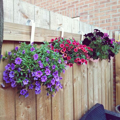 Fence Planters for privacy 20
