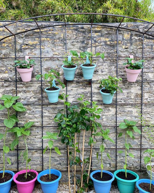 Fence Planters for privacy 22