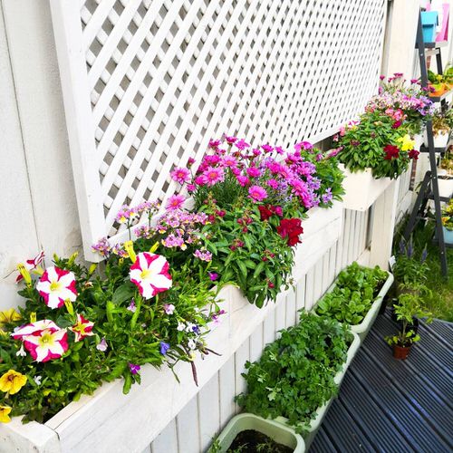 Fence Planters for privacy  16