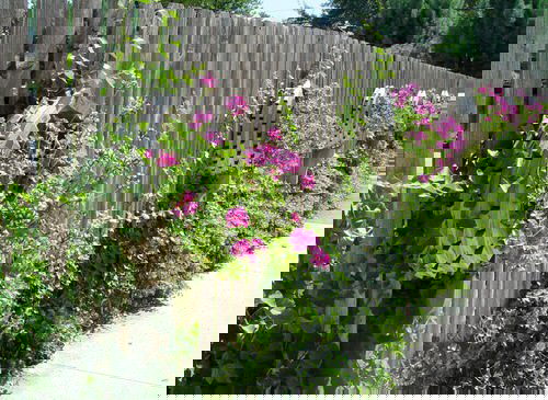 Fence Planters for privacy 10
