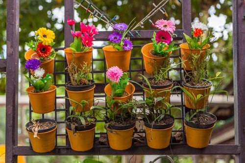 Fence Planters for privacy  6