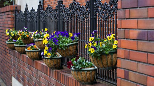 Fence Planters for privacy 2