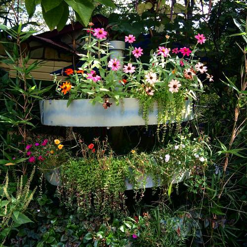 Fence Planters for privacy 32