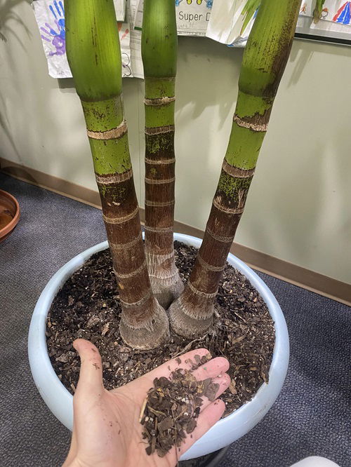 Hard and Tight Soil