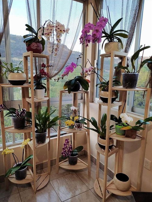 Stunning Orchid Tower in garden 3