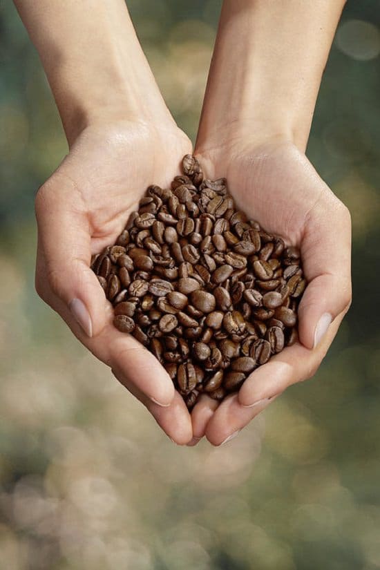 Coffee Beans Processing